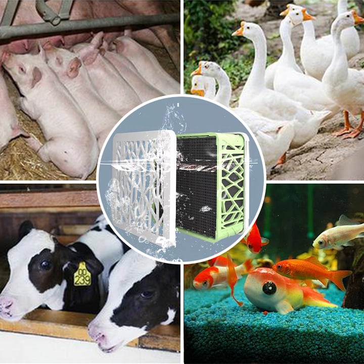 đAquarium Water Purifier Cube