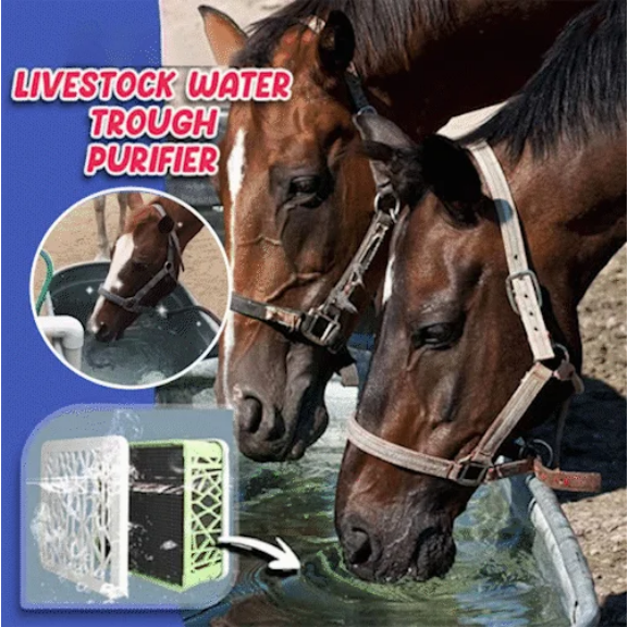 đAquarium Water Purifier Cube