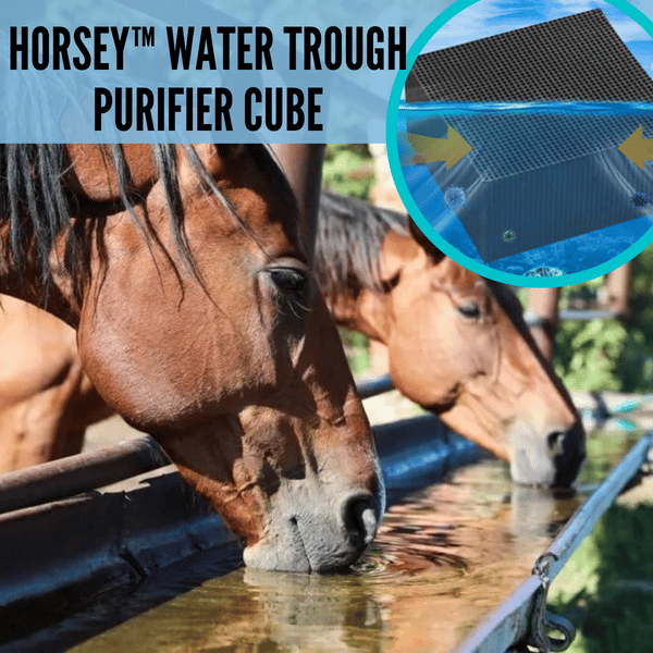 đAquarium Water Purifier Cube