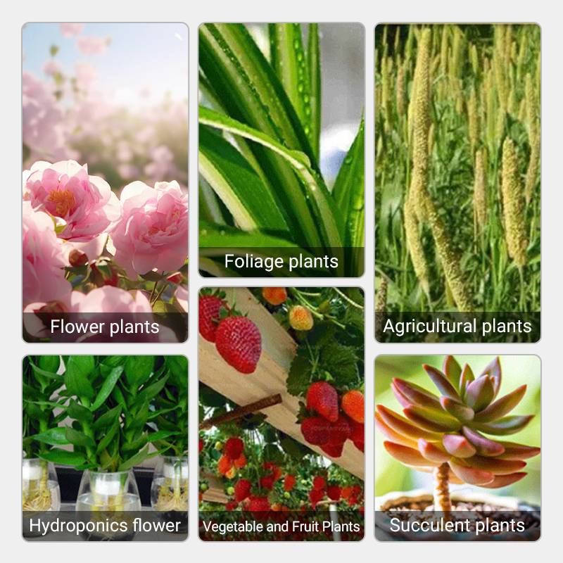 2024đ„Snabbverkande NĂ€ringslösning för VĂ€xter