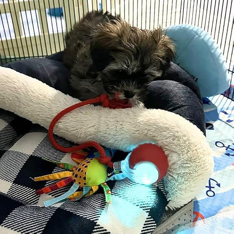 đ±đ¶Smart Automatisk Rullande Husdjursbollđ„