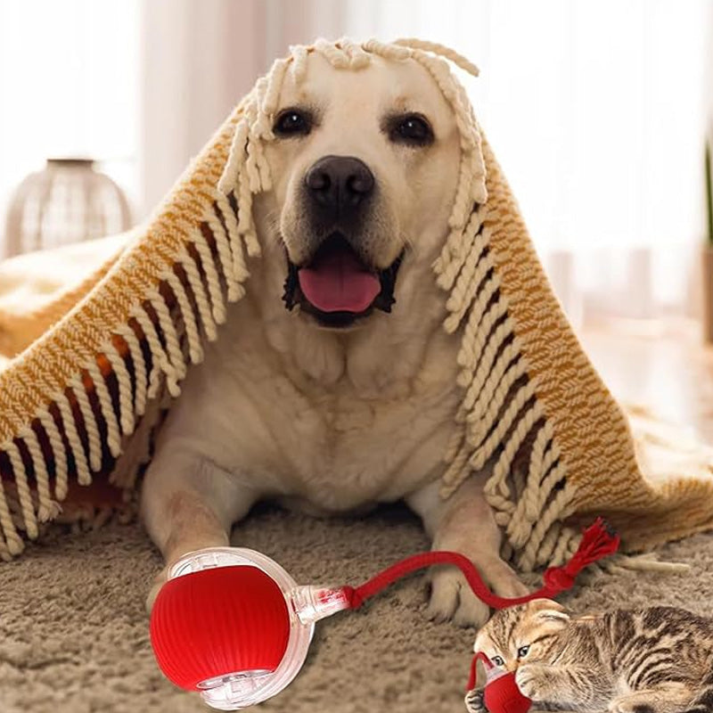 đ±đ¶Smart Automatisk Rullande Husdjursbollđ„