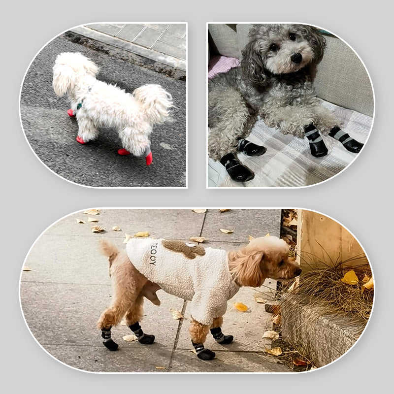 2 Par Anti-halk Vattentåliga Hundstrumpor