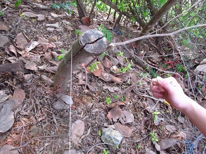 đSurvival Gear VajersĂ„g i rostfritt stĂ„lđŻ