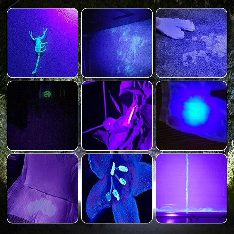 đ„HOT SALEđ„Multifunktionell mini UV-fluorescerande ficklampa