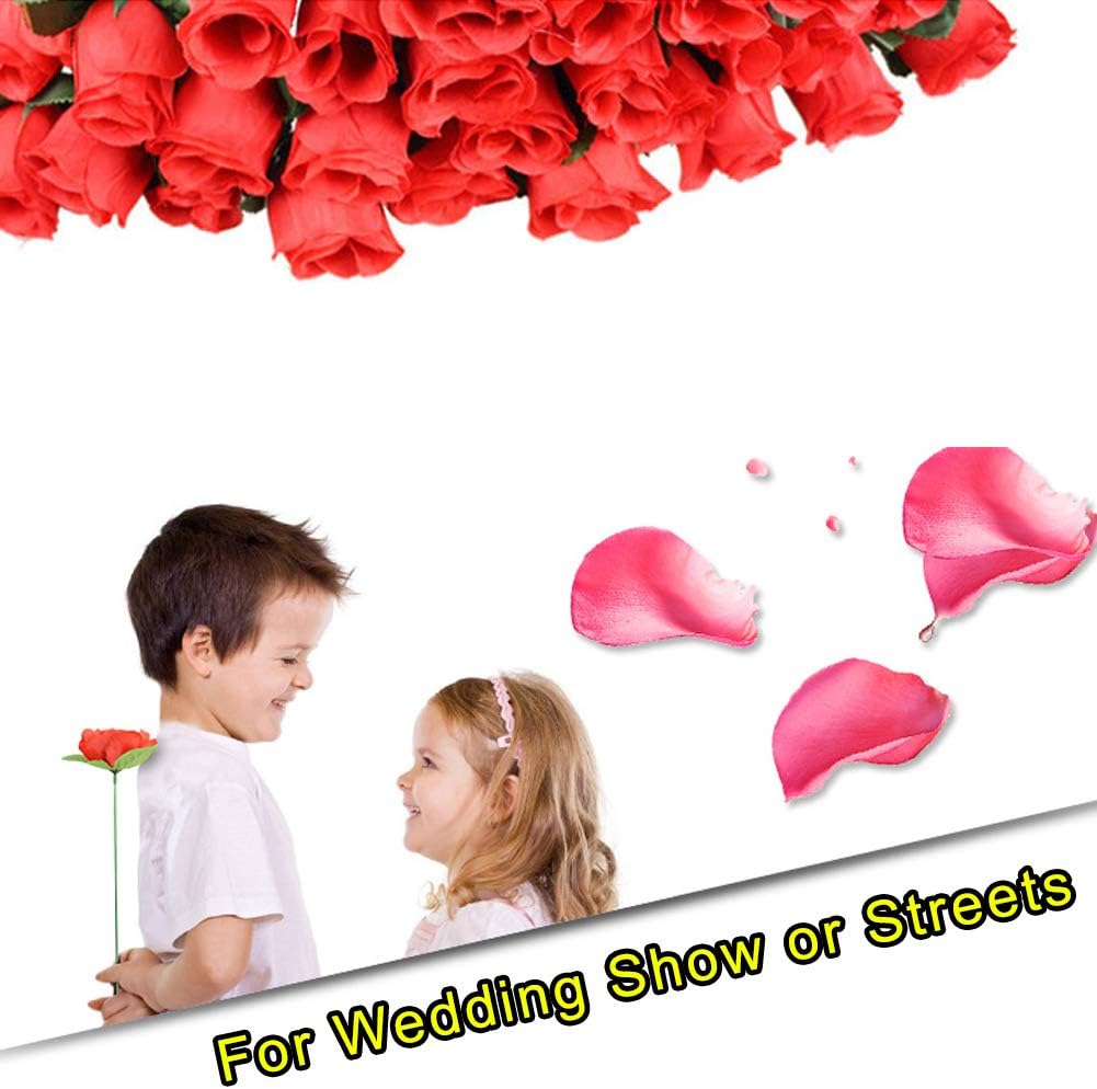 đ„2025 New Arrivalđ„Magic Rose - Torch to Roseđ