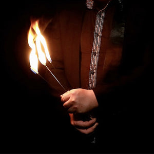 đ„2025 New Arrivalđ„Magic Rose - Torch to Roseđ