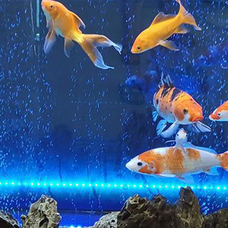 đ„LED akvarium fĂ€rgglada luftbubblor ljus