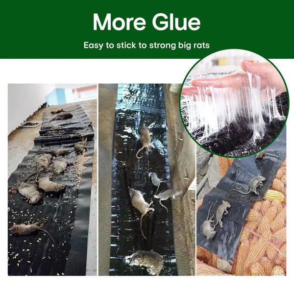 đ„Varm försĂ€ljningđ„HushĂ„ll Mon-vĂ€vd Stark FĂ€lla Klibbig Mus Fil