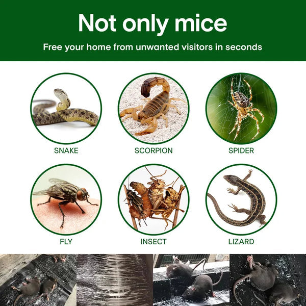 đ„Varm försĂ€ljningđ„HushĂ„ll Mon-vĂ€vd Stark FĂ€lla Klibbig Mus Fil