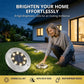 Stainless steel solar-powered ground light with 8 LED bulbs