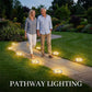 Stainless steel solar-powered ground light with 8 LED bulbs
