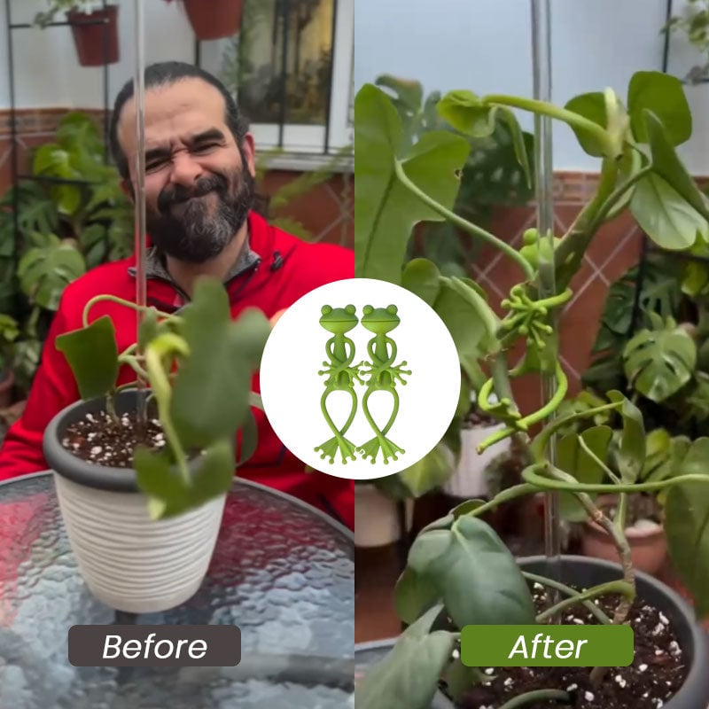 🐸Groda blomställ – Sött och stabilt stöd för små krukväxter och suckulenter🌿