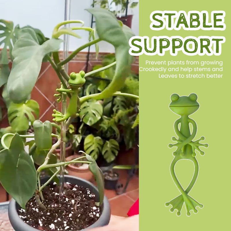 🐸Groda blomställ – Sött och stabilt stöd för små krukväxter och suckulenter🌿