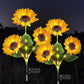 🌻56% OFF FLASH SALE! ✨Sunflower Solar Lights – Glowing Decor for Garden 🌿