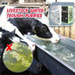 🍃Aquarium Water Purifier Cube