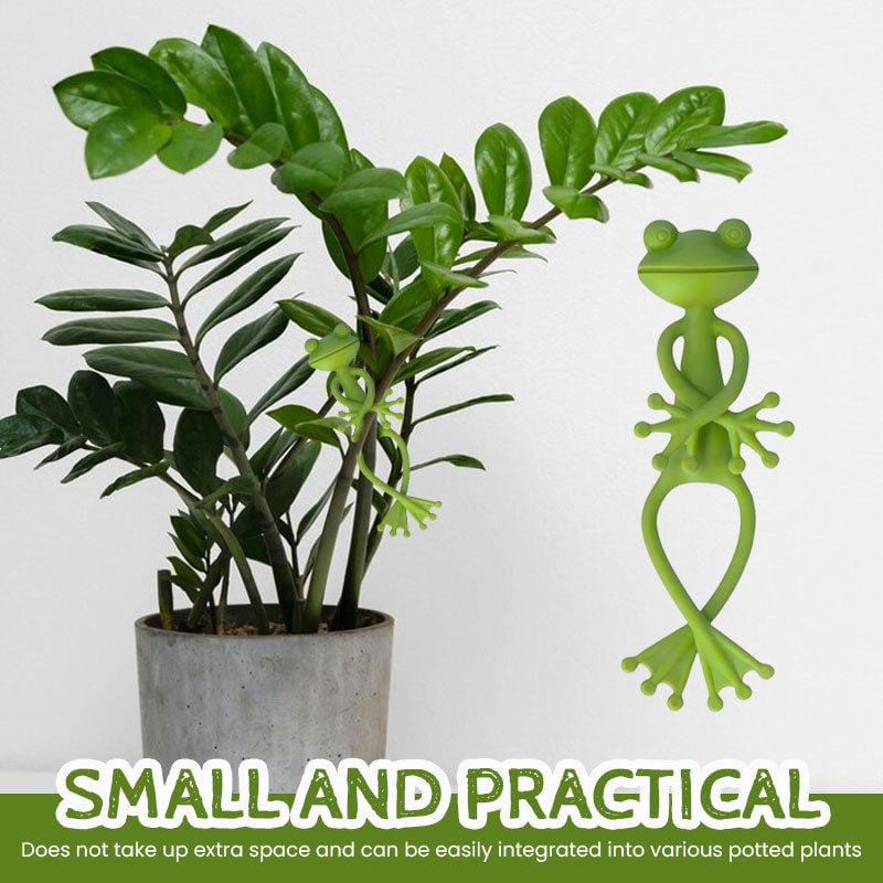 🐸Groda blomställ – Sött och stabilt stöd för små krukväxter och suckulenter🌿