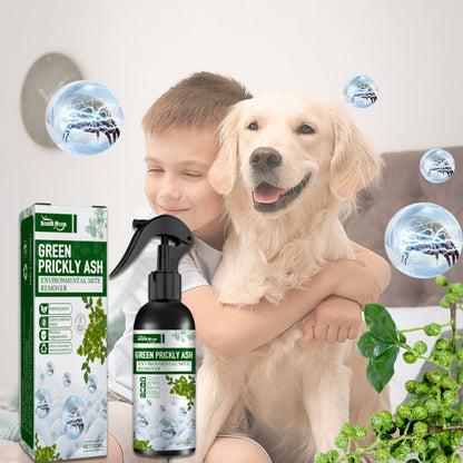 🎉Kraftfull kvalsterborttagningsspray - rengör på djupet, skyddar hälsan!
