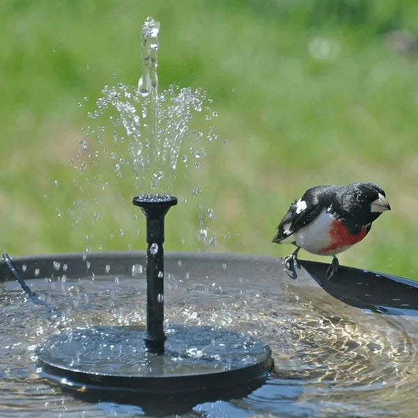 🔥Soldrivna fågelfontäner🐦️