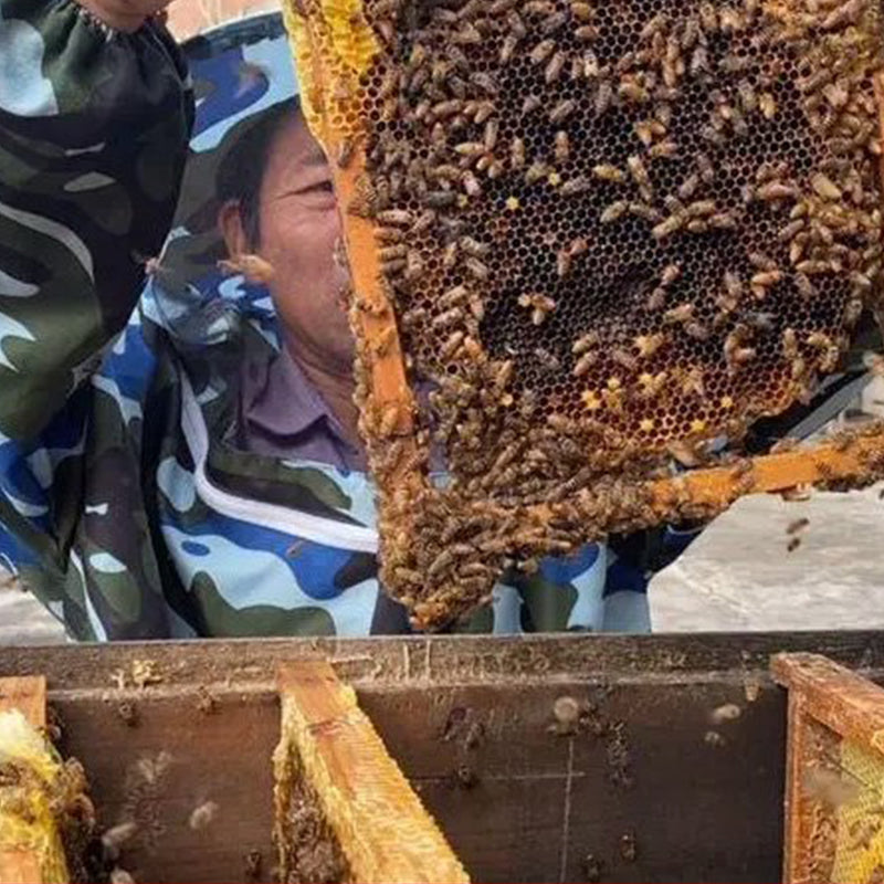 Camouflagejacka för utomhusbruk med hatt - helkroppsskydd mot insekter