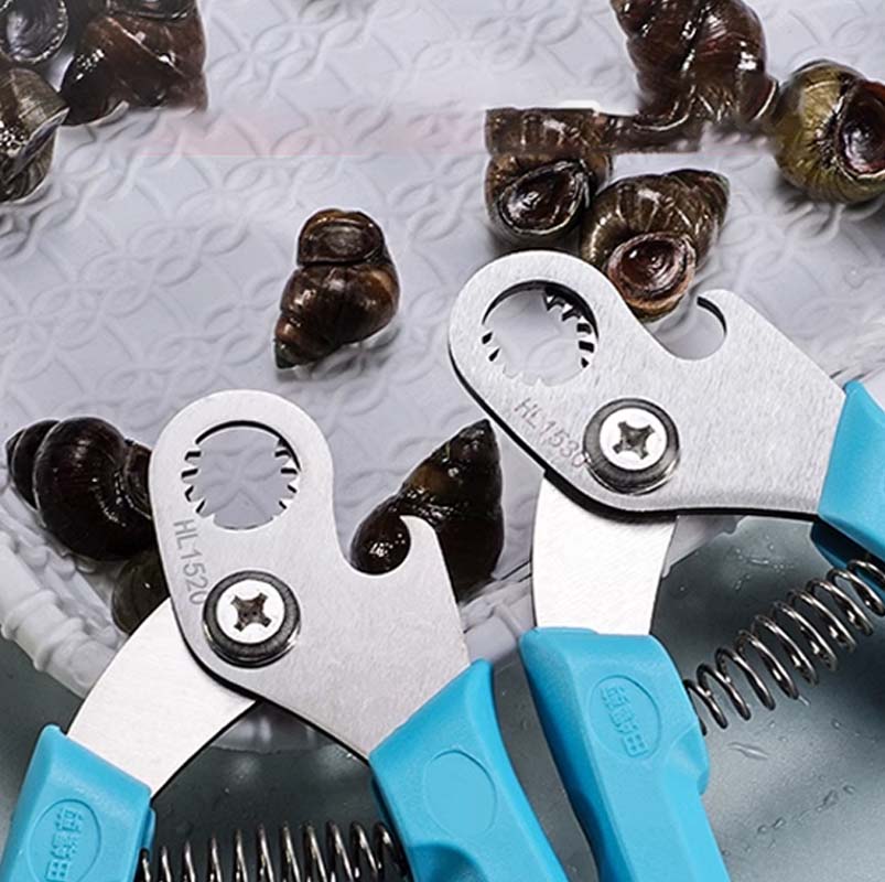 Snail Seafood Shell Cutting Tool