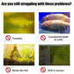 🌊 Ultimat Akvarievattenstabilisator – Rent, Säker, Omedelbar! 🐠