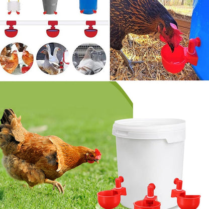 🐔automatisk dricksfontän för fjäderf