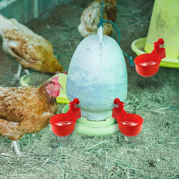 🐔automatisk dricksfontän för fjäderf