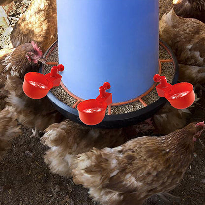 🐔automatisk dricksfontän för fjäderf