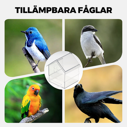 🔥Hängande transparent foderautomat för fågelbur