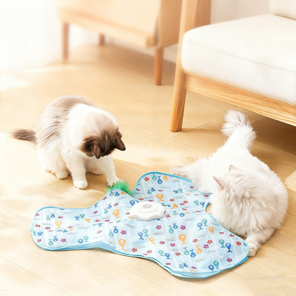 😻2-i-1 Gömma och Söka Kattleksak