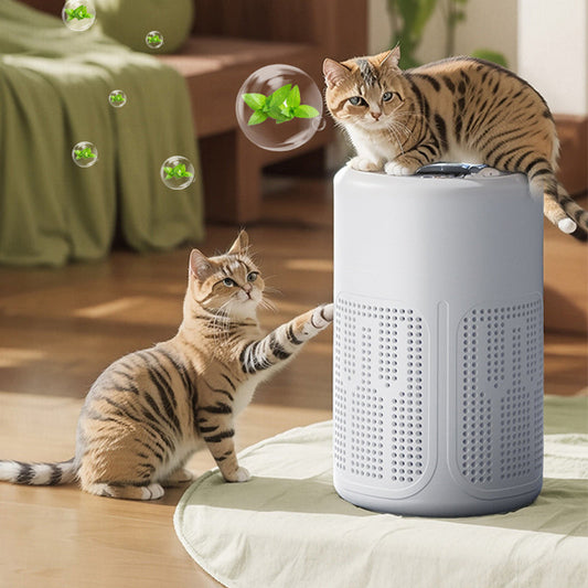 🌬️ Kompakt luftrenare för hemmet – tyst, energieffektiv och perfekt mot allergier, damm och djurhår 🏠✨