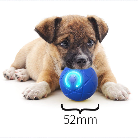 ✨ Elektrisk aktiveringsboll för hund & katt – interaktiv, tålig och perfekt för lek hemma 🐾