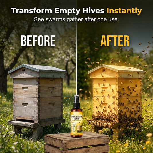 🐝Naturlig utomhusbeting för bin