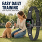 🐕 33% RABATT NU! 🔇 Smart Anti-Bark Collar for Dogs – stötfri, vibration & pip, justerbar känslighet – perfekt för skonsam och effektiv träning 🐾✨