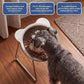 🥣 15° lutad upphöjd matskål för hund – naturlig ätposition, minskar uppstötningar & nacksmärta – perfekt för små raser och äldre hundar 🦴✨